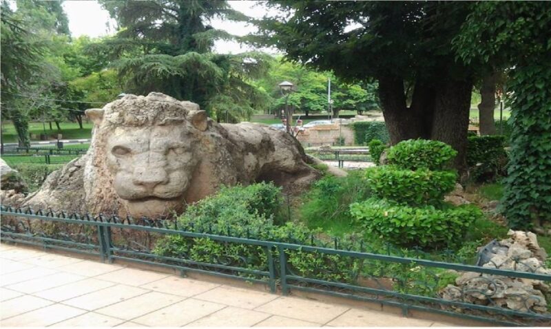 Fes, Berber and Middle Atlas Day Trip - Customer Reviews and Ratings