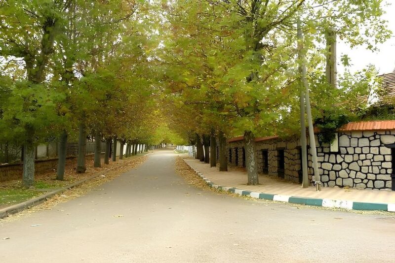 Fes: Day Trip to Middle Atlas: Imouzzer, Ifrane, Azrou - Visiting Troglodyte Dwelling