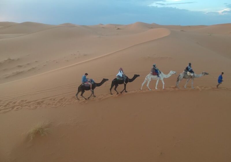 Fes Desert Tour 3 Days - Day 1: Exploring the Middle Atlas Mountains