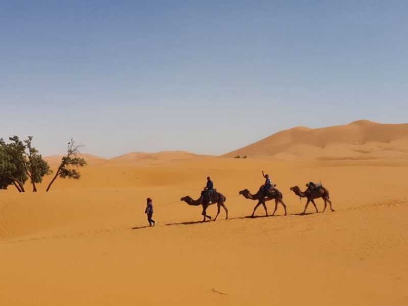 Fes: Merzouga Desert 2-Day Tour - Good To Know