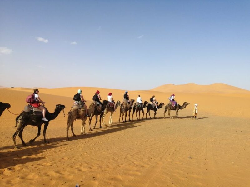 Fes: Merzouga Desert 2-Day Tour - Customer Reviews