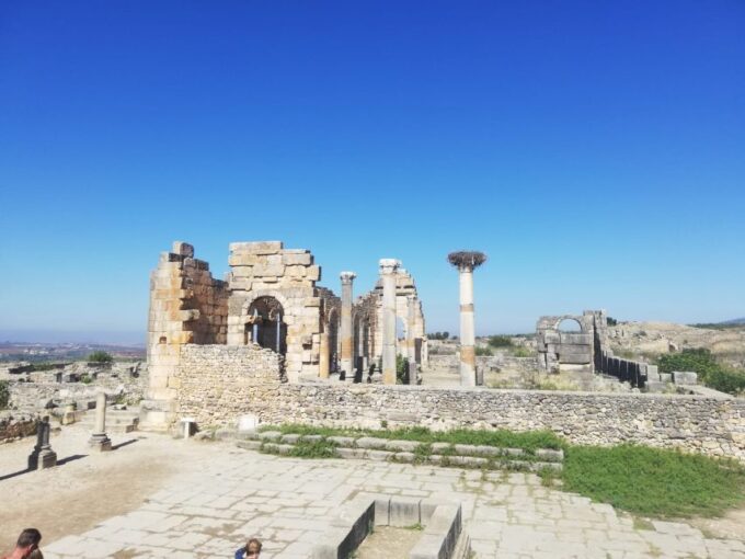 Fes Private Day Trip to Volubilis Moulay Idriss and Meknes - Customer Experience and Feedback