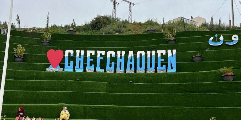 Fes to Chefchaouen Day Trip Multi Languages(En/Fr/Es/It/Ar) - Accessibility and Options