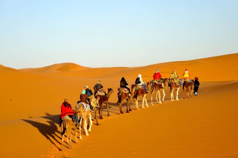 Fes To Marrakech: 3-Day Desert Tour - Day 3: Dades to Marrakech