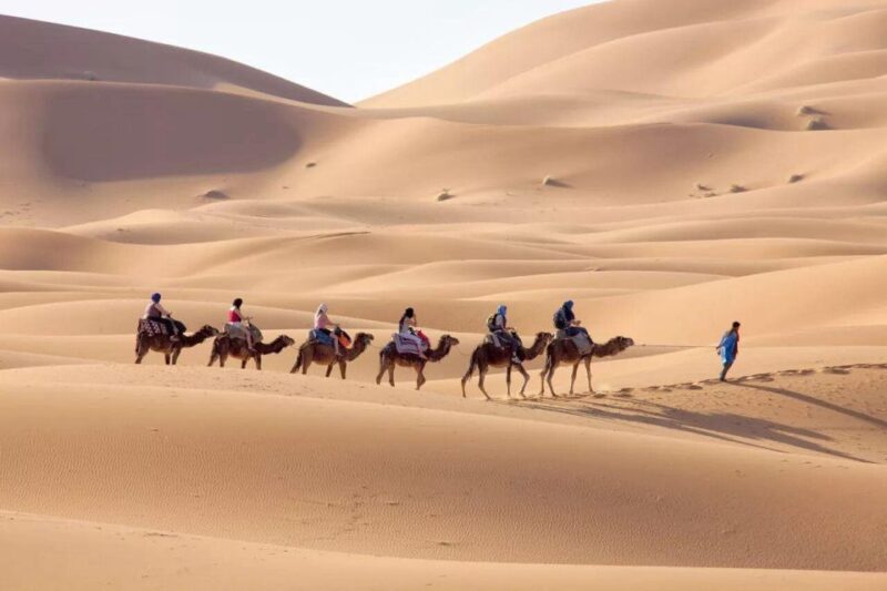 Fes to Marrakech: 3-Day Sahara Camel Trek & Glamping - Camel Trekking in the Sahara