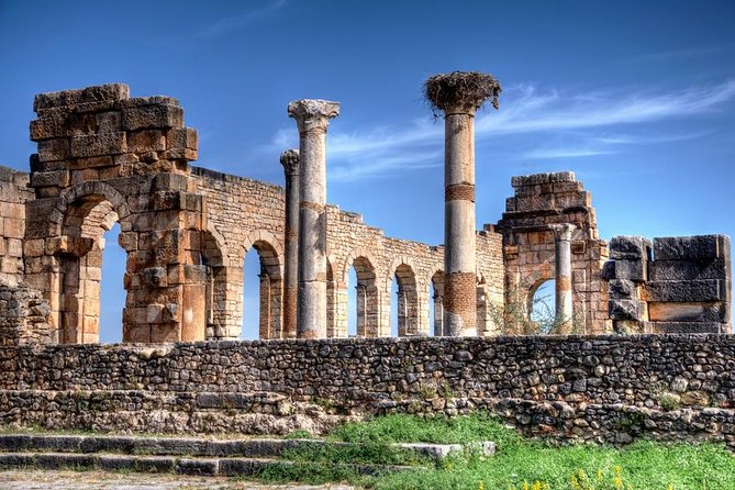 Fes to Volubilis Day Trip - Pickup and Meeting Information