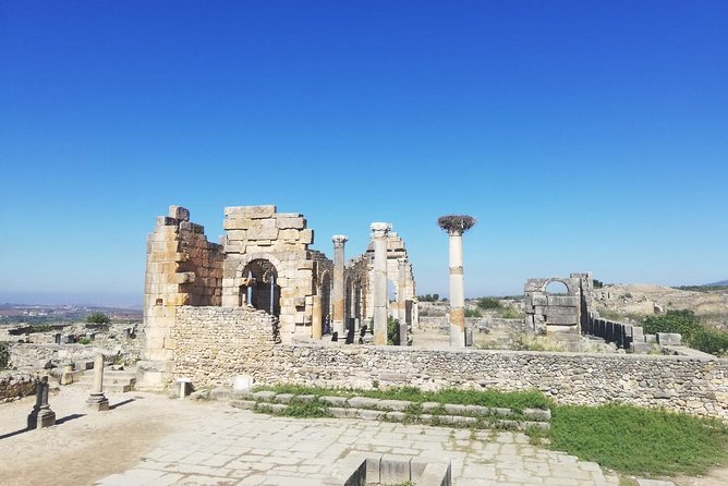 Fes to Volubilis, Moulay Idriss and Meknes Private Day Trip - Traveler Reviews