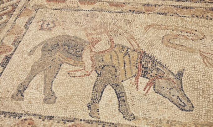 Fes to Volubilis via Meknes and Moulay Idriss Day Tour - Frequently Asked Questions