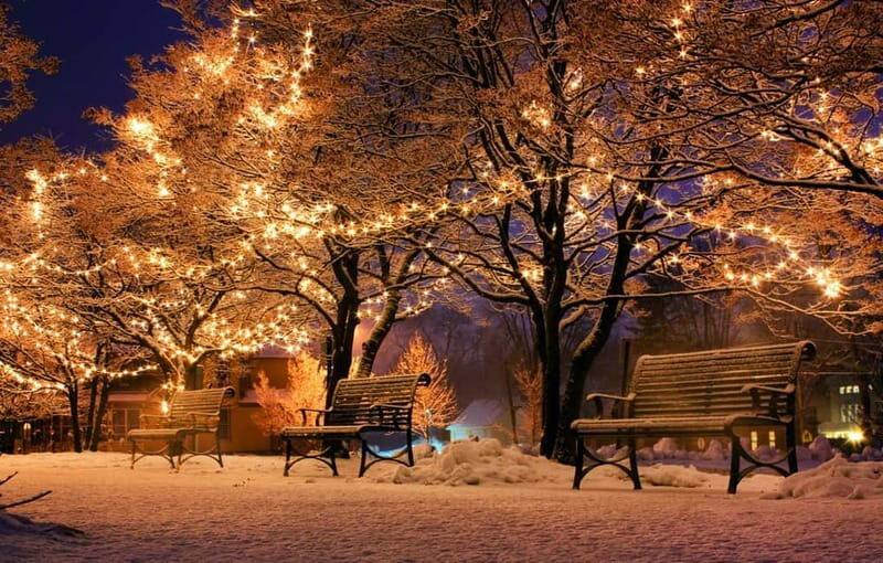 Festive Christmas Walking Tour in Paphos - What the Tour Means for You