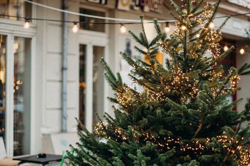 Festive Journey in Sirmione Christmas Walking Tour - History of Grotte Di Catullo