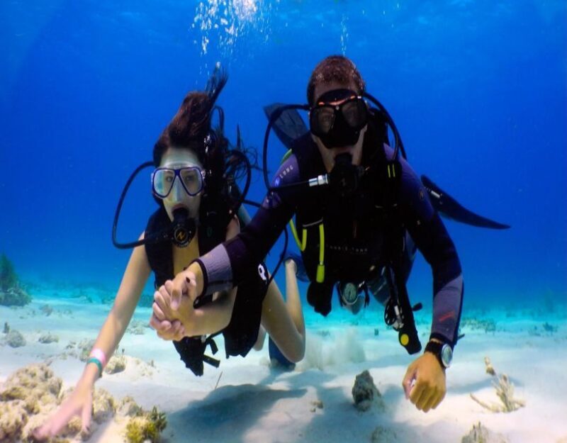 Fethiye: 2 Guided Scuba Dives with Lunch and Hotel Transfers - What Makes This Tour Stand Out?