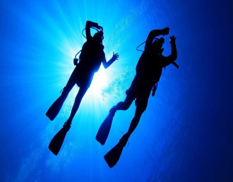 Fethiye: 2 Guided Scuba Dives with Lunch and Hotel Transfers - Why This Tour Offers Good Value