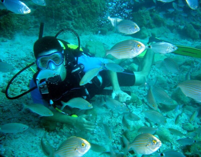 Fethiye: 2 Guided Scuba Dives with Lunch and Hotel Transfers - Who Will Love This Experience?