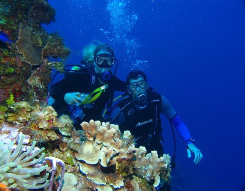Fethiye: 2 Guided Scuba Dives with Lunch and Hotel Transfers - Final Thoughts