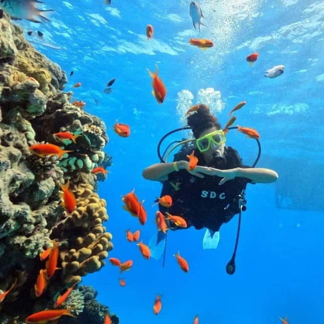 Fethiye Scuba Diving Tour: Free Shuttle Service - Lunch Included - What Makes This Tour Stand Out?