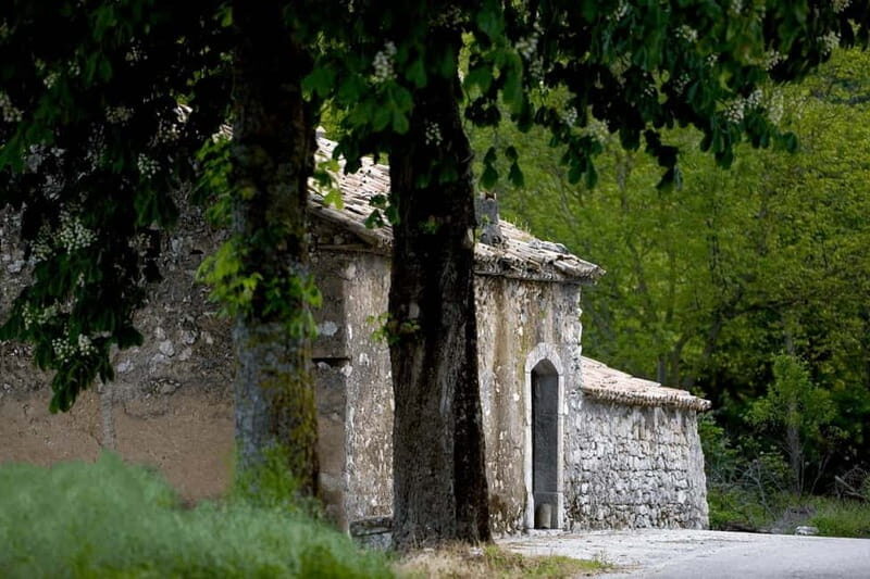 Feudi di San Gregorio: Wine Tasting Experience - Frequently Asked Questions  