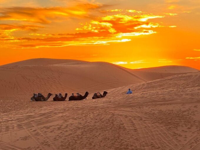 Fez: 3-Day Desert Trip to Marrakech With Accommodation - Included Services and What to Bring