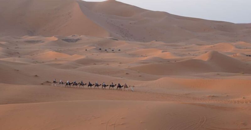 Fez Desert Discovery: 2 Days, 1 Night - Great Deal! - Luxury Desert Camp Experience