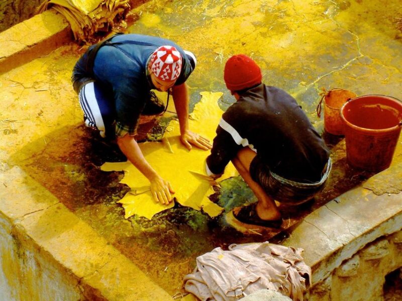 Fez Guided Day Tour - Discover the Oldest University
