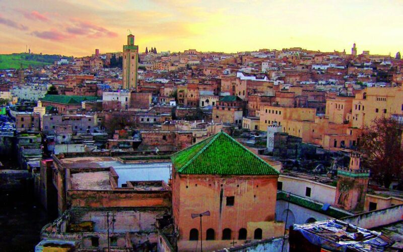 Fez: Half-Day Sightseeing Tour - Leather Tanneries and Crafts