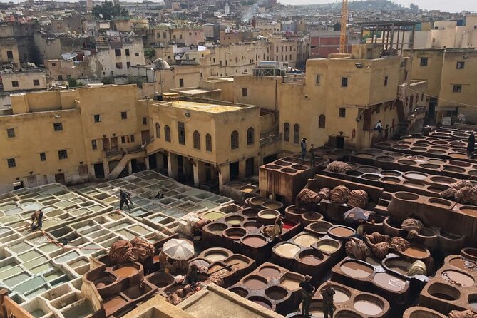 Fez Half Day Tour - Inclusions and Pricing