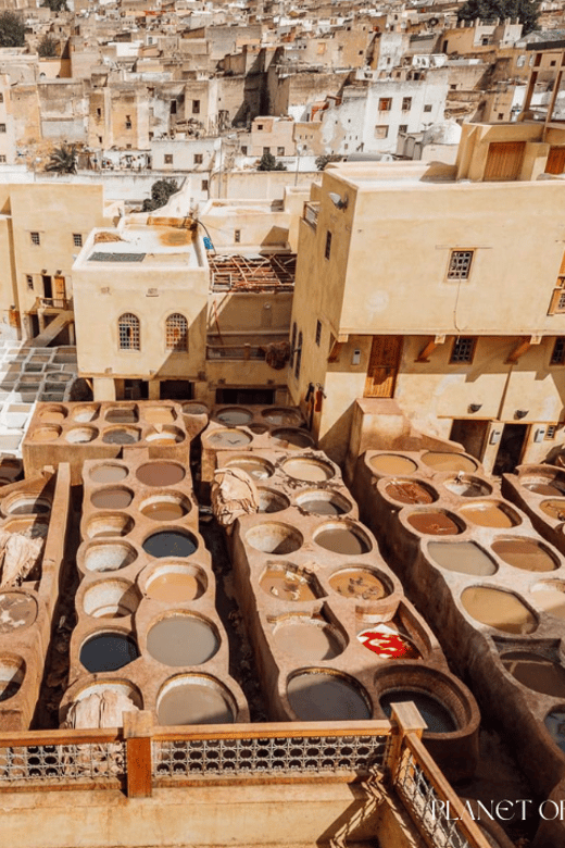 Fez Medina Guided Tour: Unveiling Medinas Ancient Heritage - Highlights of the Tour Experience