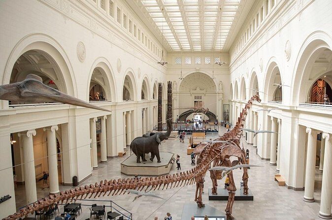 Field Museum Basic Admission Ticket Plus VR Experience - Practical Considerations