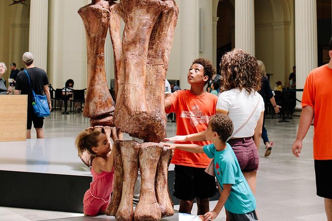 Field Museum of Natural History Admission Tickets - Visitor Experience Tips