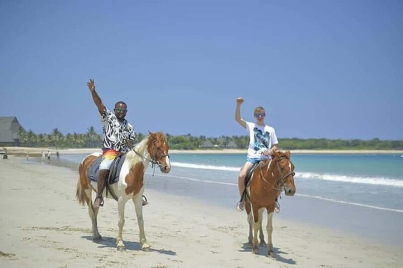 Fiji: Beach Horseback Riding Tour with Lunch and Transfer - What to Expect on This Tour