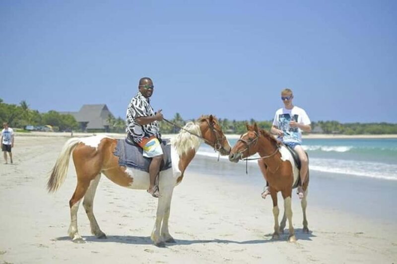 Fiji: Beach Horseback Riding Tour with Lunch and Transfer - The Ride and the Scenery