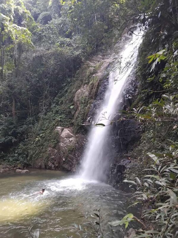 Fiji Biausevu waterfall & Village Tour - Authentic Experiences and Real Feedback