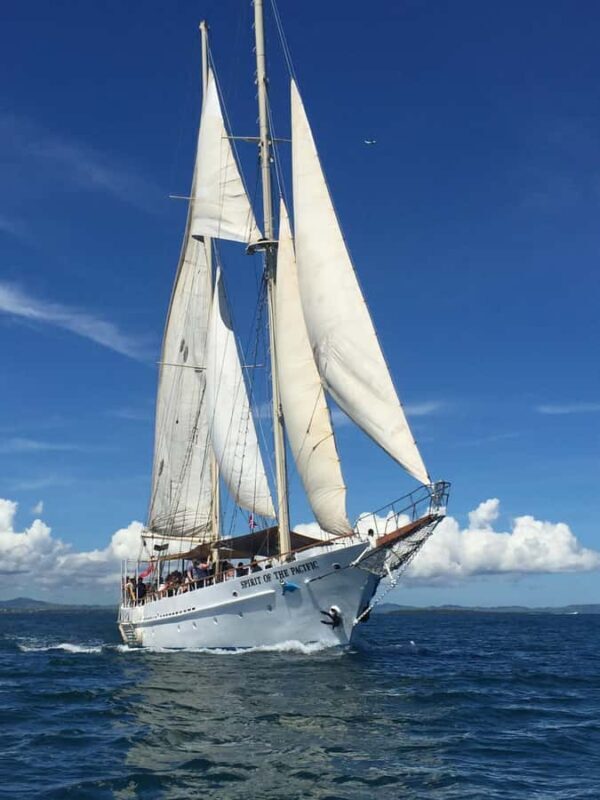 Fiji: Captain Cook Cruises - Island & Reef Day Trip - An Overview of the Experience