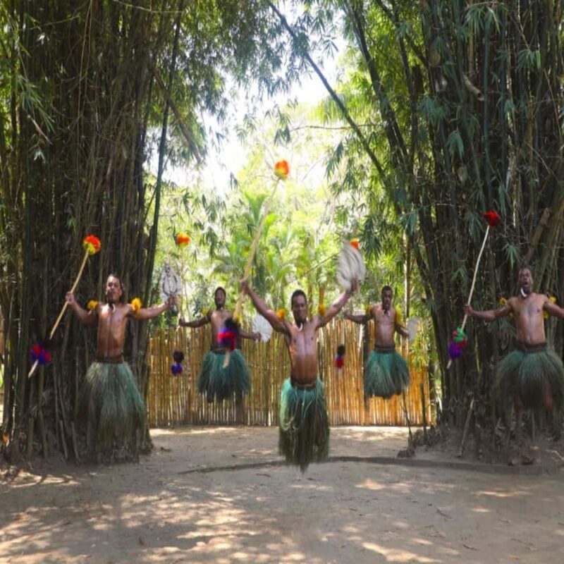 Fiji: Cultural Village Evening Tour with Dinner and Show - The Reviews: What Travelers Say