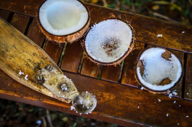 Fiji: Farm Tour: Animals, Honey Tasting & Fijian Cooking - Discover Fiji’s Authentic Farm Experience: Animals, Honey, and Fijian Cooking