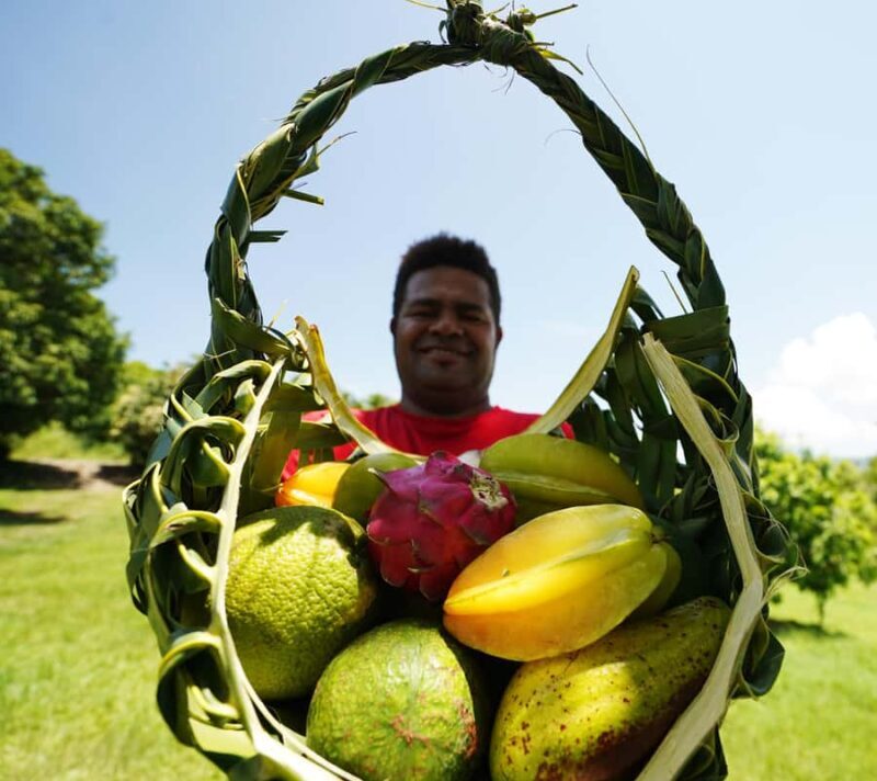 Fiji: Farm Tour: Animals, Honey Tasting & Fijian Cooking - Key Points