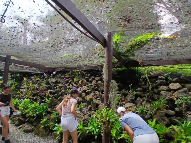 FIJI: Garden of the Sleeping Giant Tour - What to Expect from the Tour