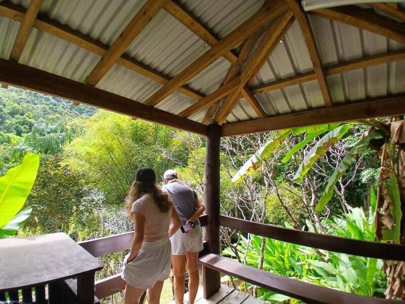 FIJI: Garden of the Sleeping Giant Tour - How the Tour Is Organized