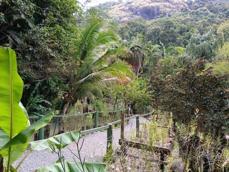 FIJI: Garden of the Sleeping Giant Tour - Authentic Experiences and Visitor Feedback
