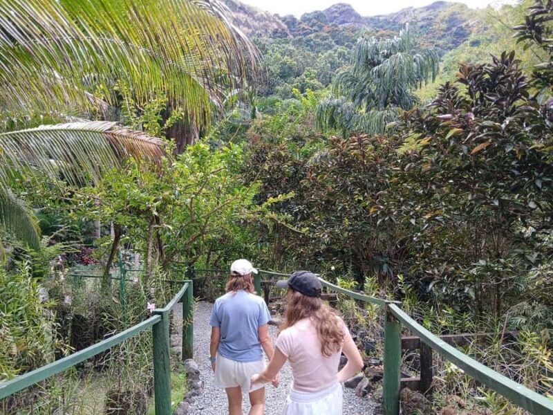 FIJI: Garden of the Sleeping Giant Tour - Who Will Love This Tour?