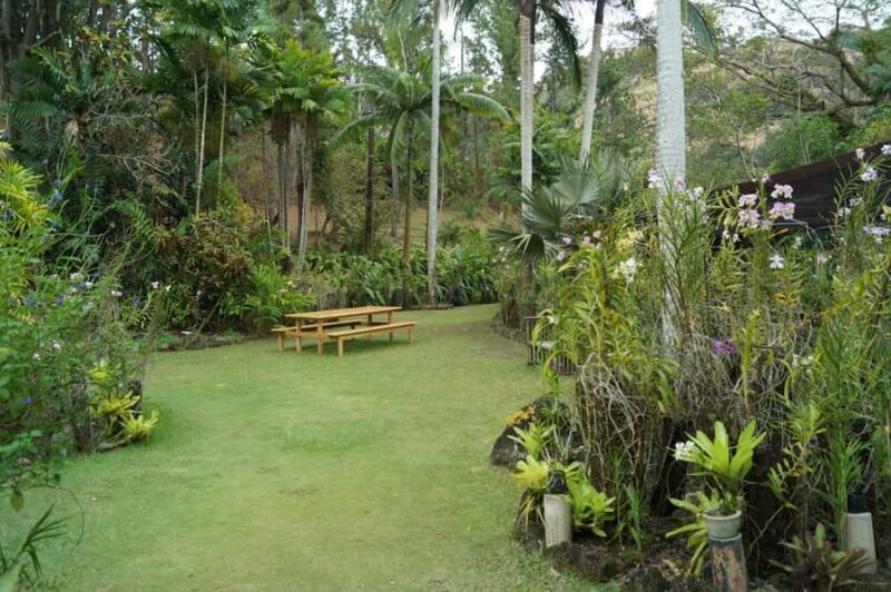 Fiji: Garden of the Sleeping Giant & Viseisei Village Tour - Who Will Love This Tour?