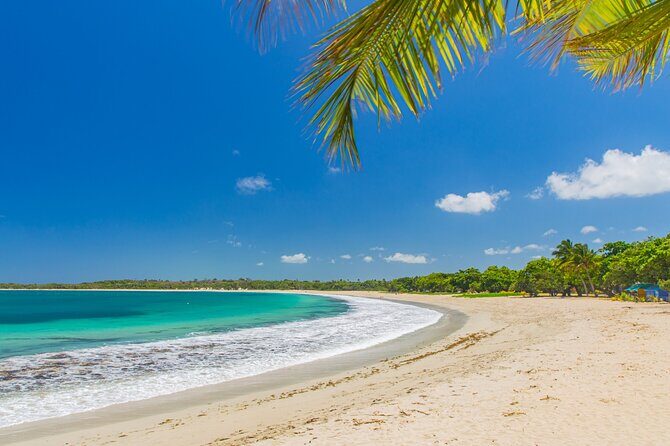 Fiji In Focus 4 Days Mainland Discovery Tour - What Travelers Are Saying