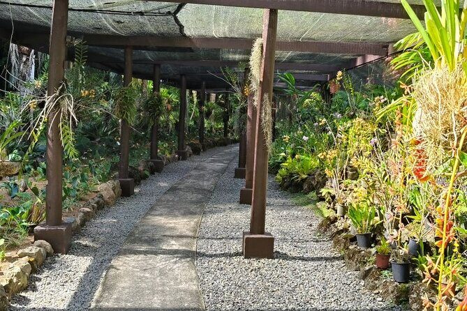 Fiji Lautoka Shore Excursions Tour - Authentic Experiences and Genuine Value