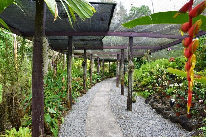 Fiji Lautoka Shore Excursions Tour - The Sum Up