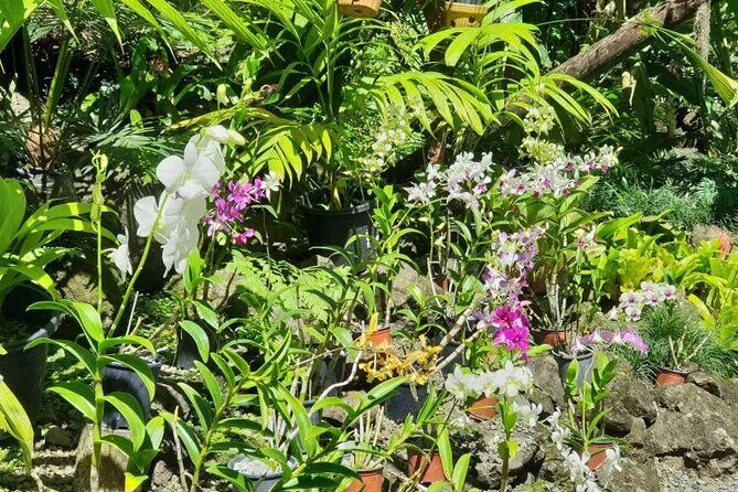 Fiji Lautoka Shore Excursions Tour - FAQ