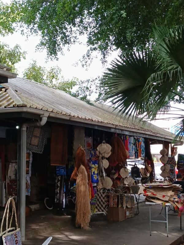 Fiji: Nadi Tour with Tifajek Mudpool and Hotspring Visit - Who Will Enjoy This Tour?