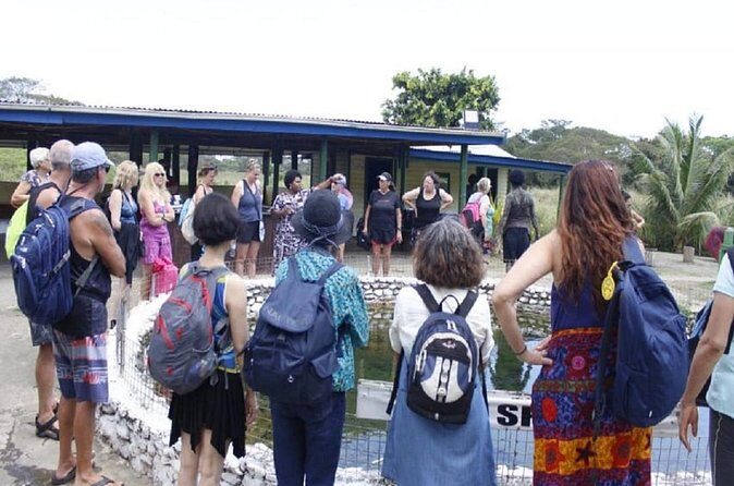 FIJI: Official Sabeto Hotspring and Mudpool Tour - Final Thoughts: Is This Tour for You?