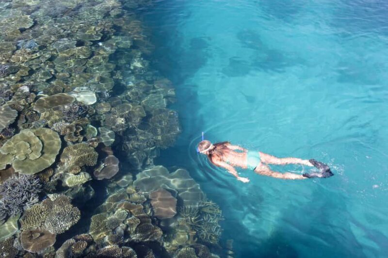 Fiji: South Sea Island Combo Half Day Trip Lunch & Drinks - The Culinary Experience