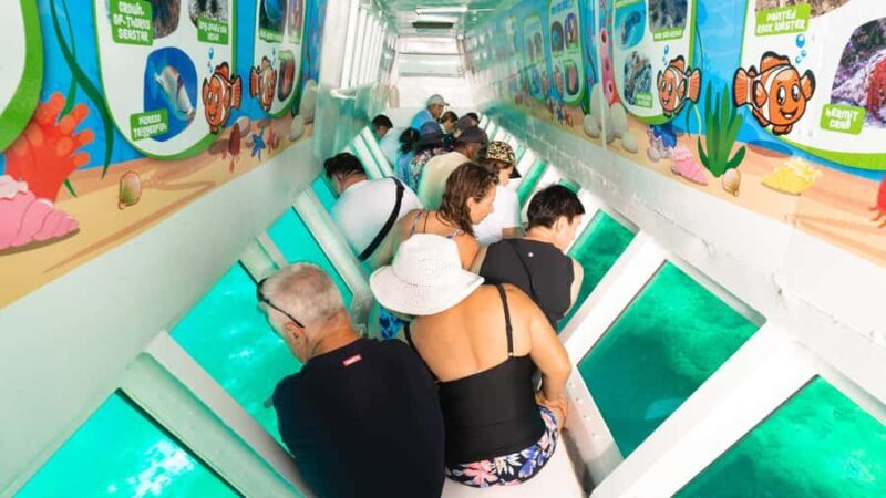 Fiji: South Sea Island Combo Half Day Trip Lunch & Drinks - Who Will Love This Tour?