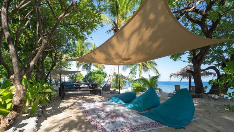 Fiji: South Sea Island Full Day Trip with Lunch & Drinks - The Journey Begins: Getting There and What to Expect