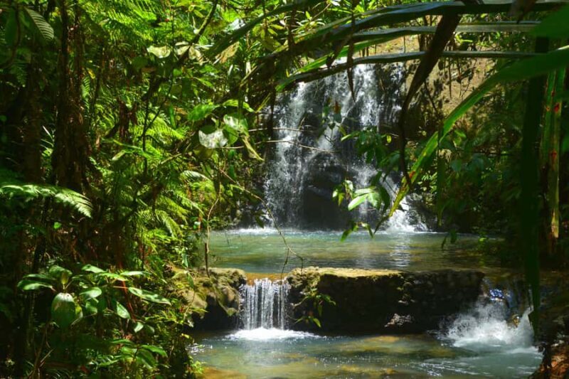 Fiji: Suva Village Tour - Nature and Waterfalls: Scenic Beauty and Refreshing Swims